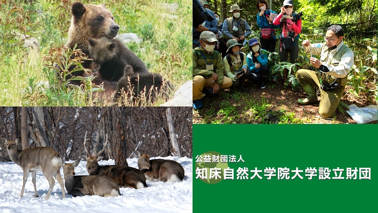 野生生物との共生を｜知床ネイチャーキャンパスの継続を皆さまと共に！