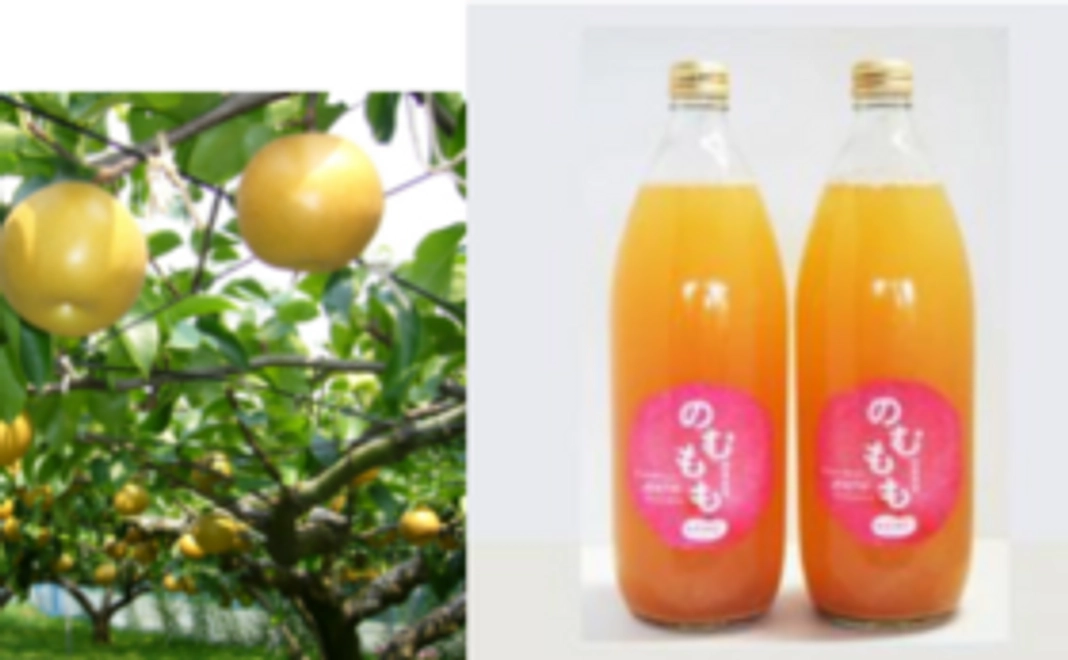 福島の旬の果物とりんごジュースをお届けします！