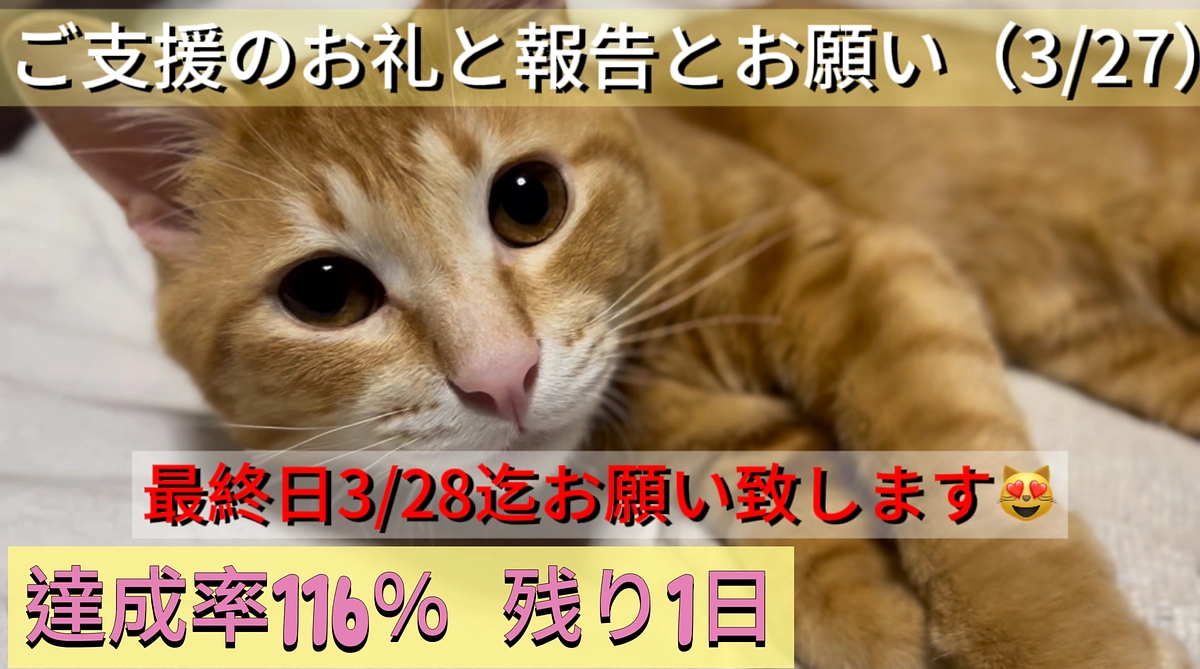 ご支援のお礼と報告とお願い（3/27）