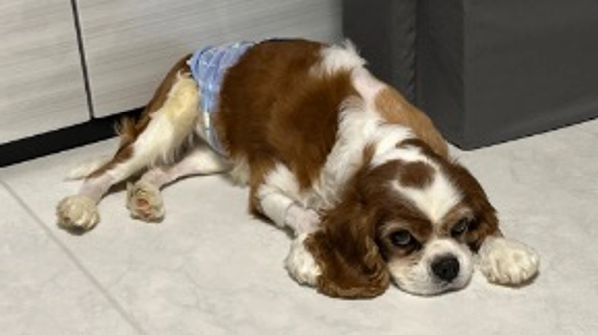 退院10日目。プロジェクト達成から一夜明けて