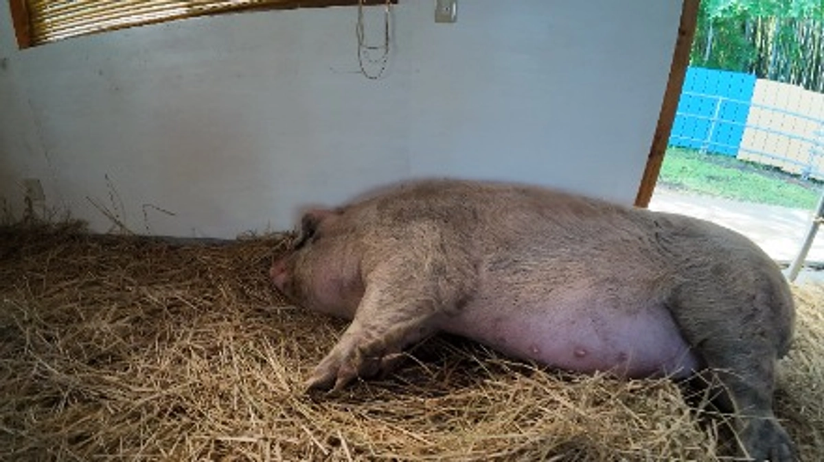 友ちゃん、まだお外に出られませんが、とってもフレンドリーです