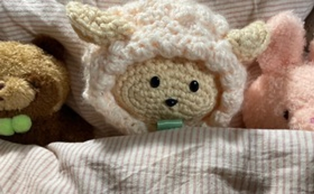 2匹のピンクの羊さん