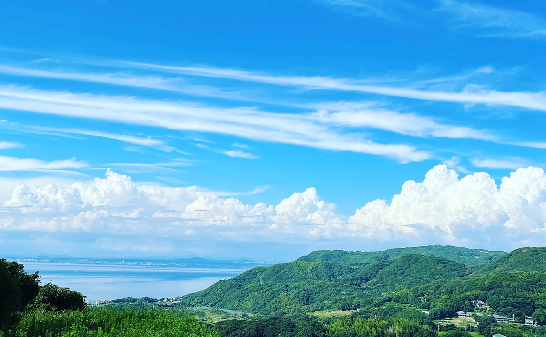 地元の食材を堪能♬　淡路産甘～い玉ねぎ5キロ！