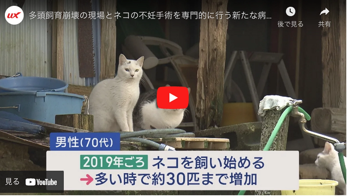 UX新潟テレビ21「スーパーJにいがた」の特集にてご紹介いただきました（アーカイブリンクつき）