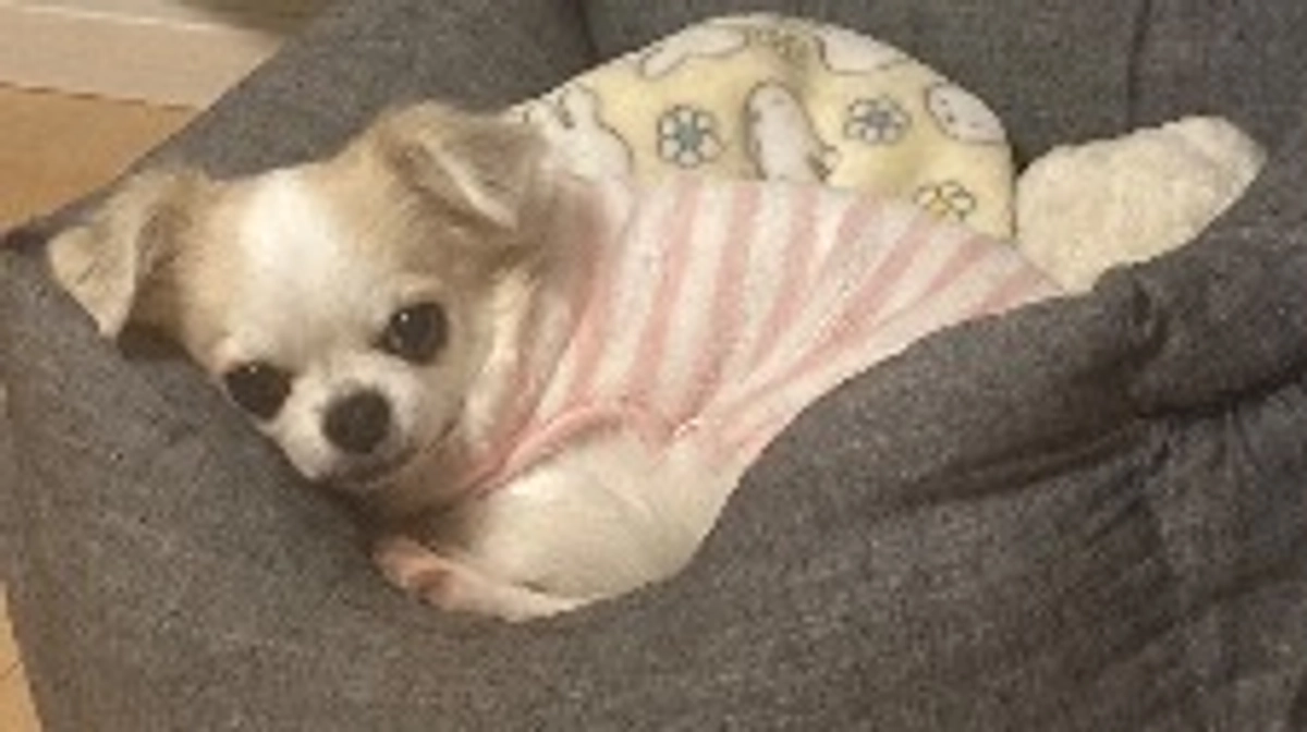 本日23時からインスタライブです🌟