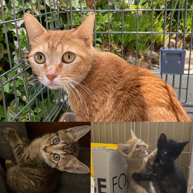 まだまだ！甘い！