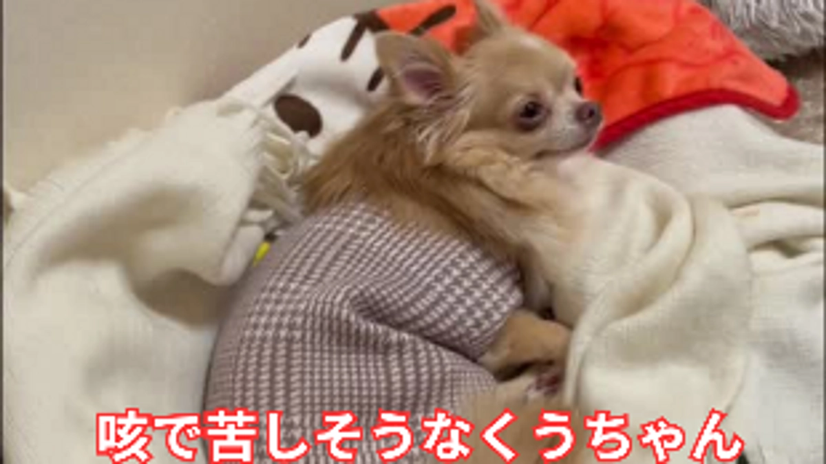 🆘残り5日💦🆘