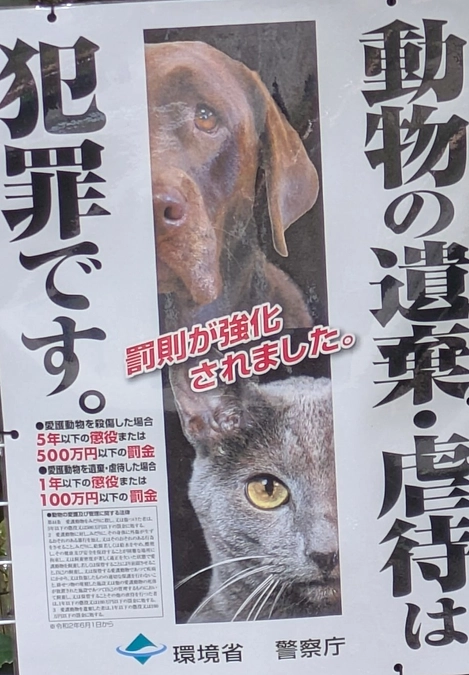 四月のTNRのお手伝い