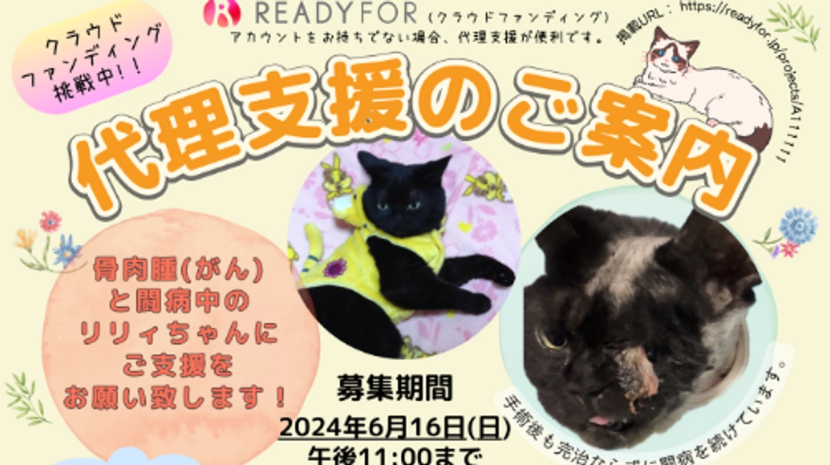 代理支援のご案内