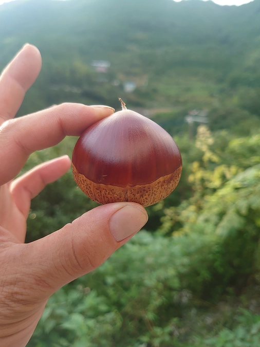 【目標達成！】皆様の温かいご支援に心より感謝申し上げます！
