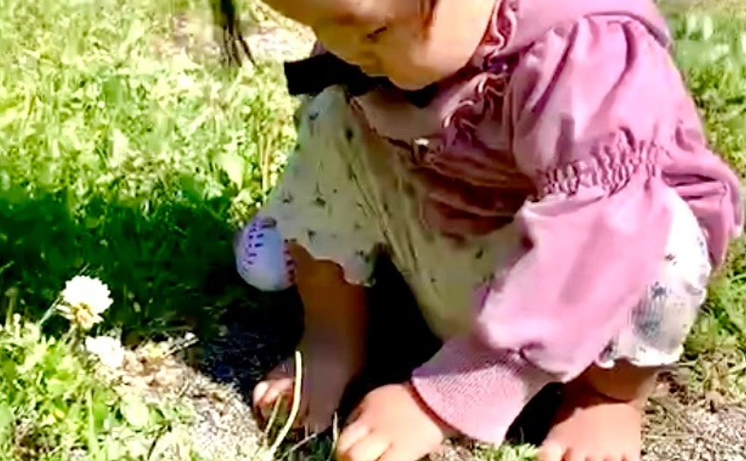 絵本サイン入り+ポストカードコース 10,000円