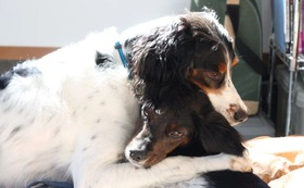 CotoRiku応援コース・1