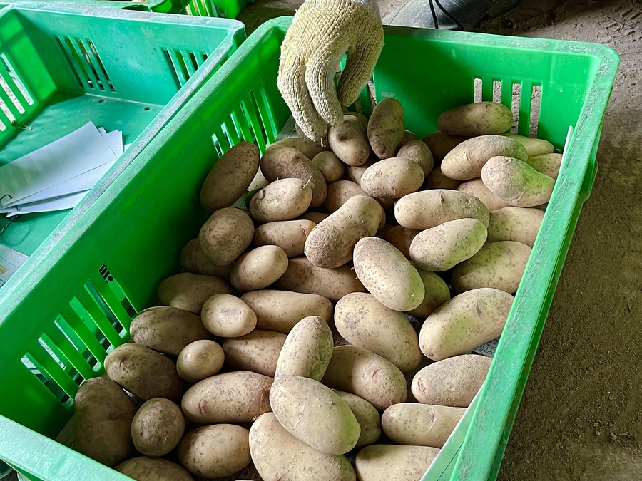 泣いても笑っても…😊