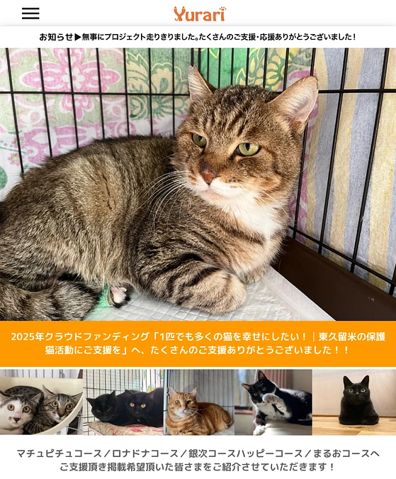 クラファン支援者様へリターンメール送付とHPへのお名前掲載ご報告！