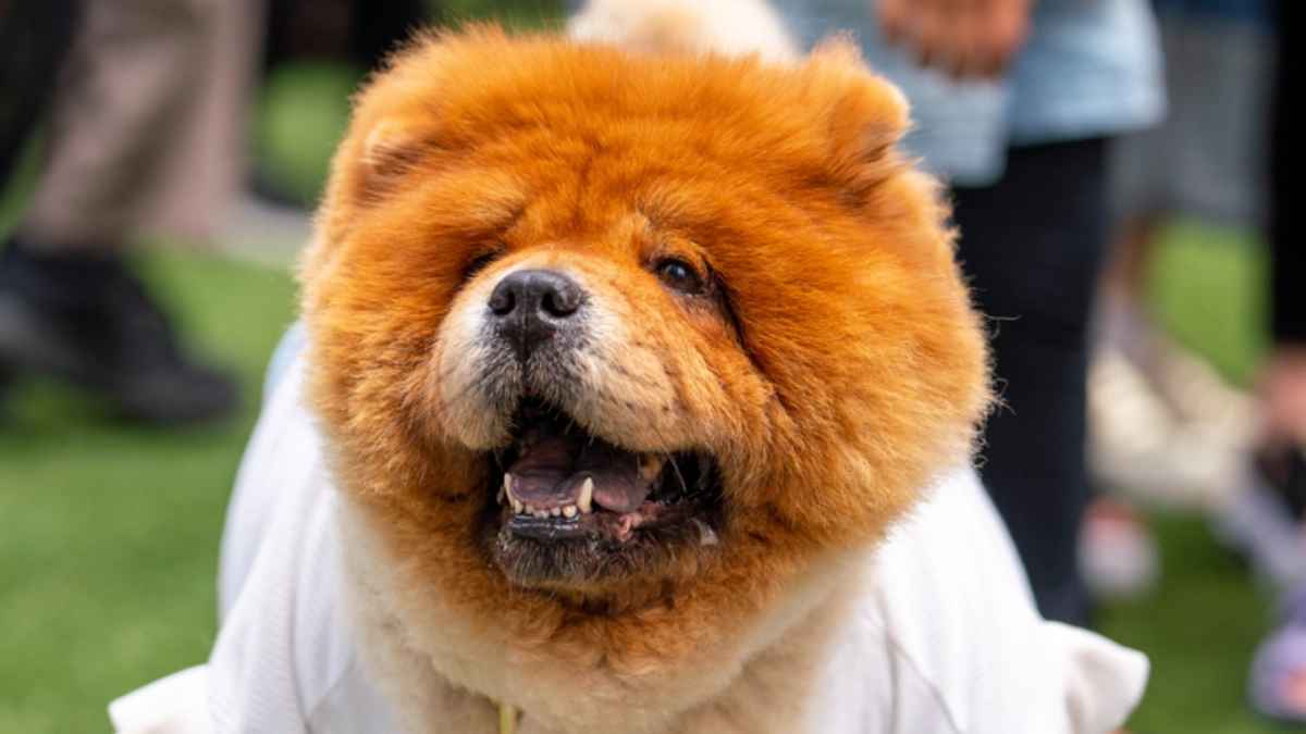 皆様のおかげでネクストゴールへ挑戦します！