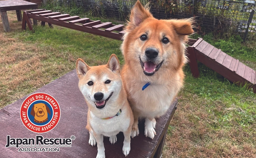 ￥1,000 応援コース