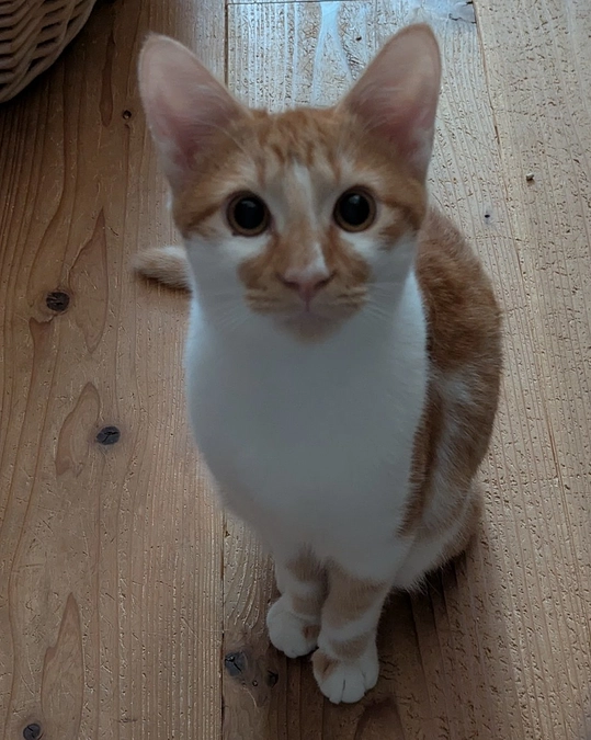 寒くなりましたね。