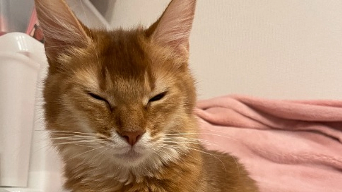 ★2023年10月27日：投薬38日目★