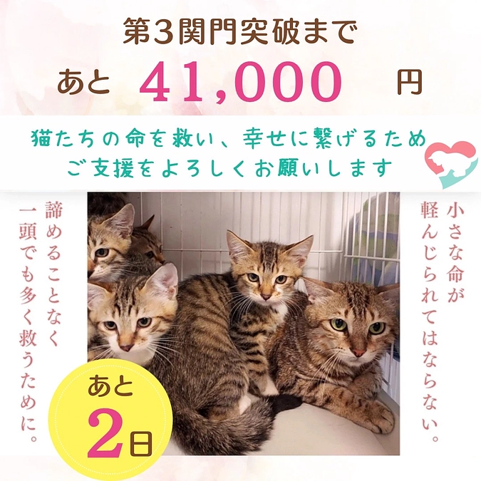 4月1日の第3関門突破まであと41,000円・・・！！！