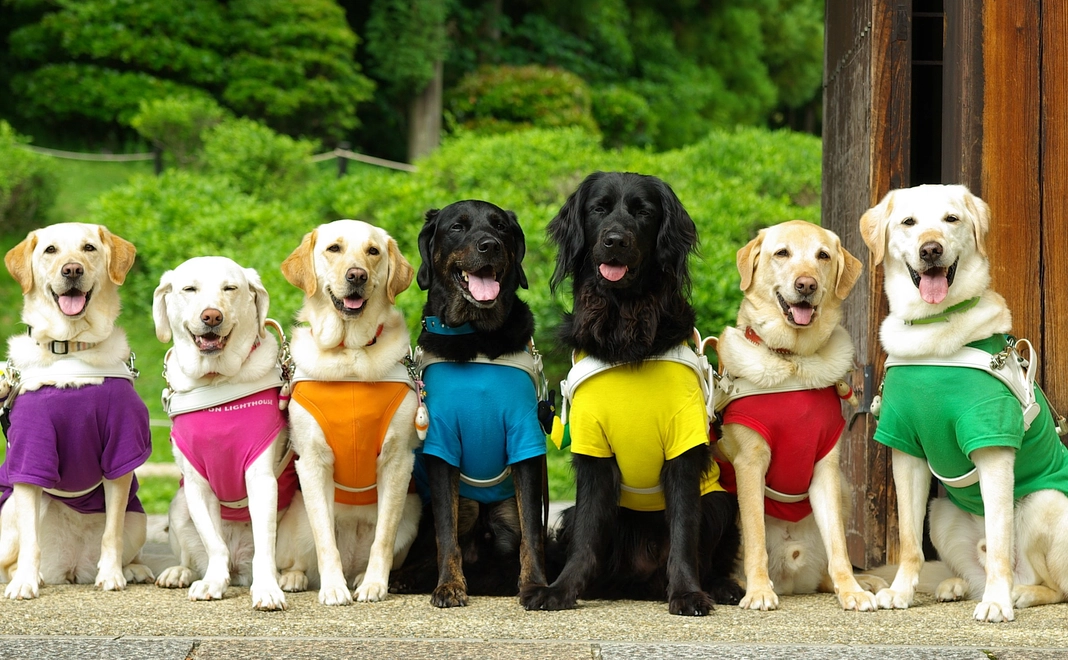 毎月10000円コース