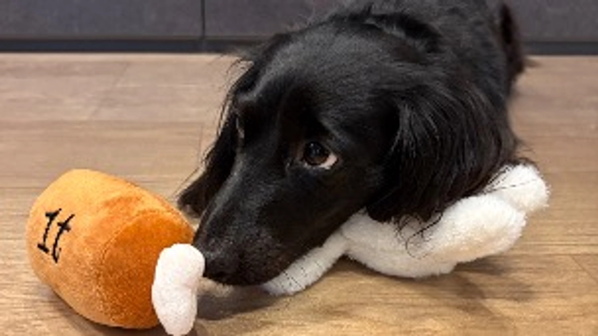 50%を超えました！ご協力ありがとうございます！