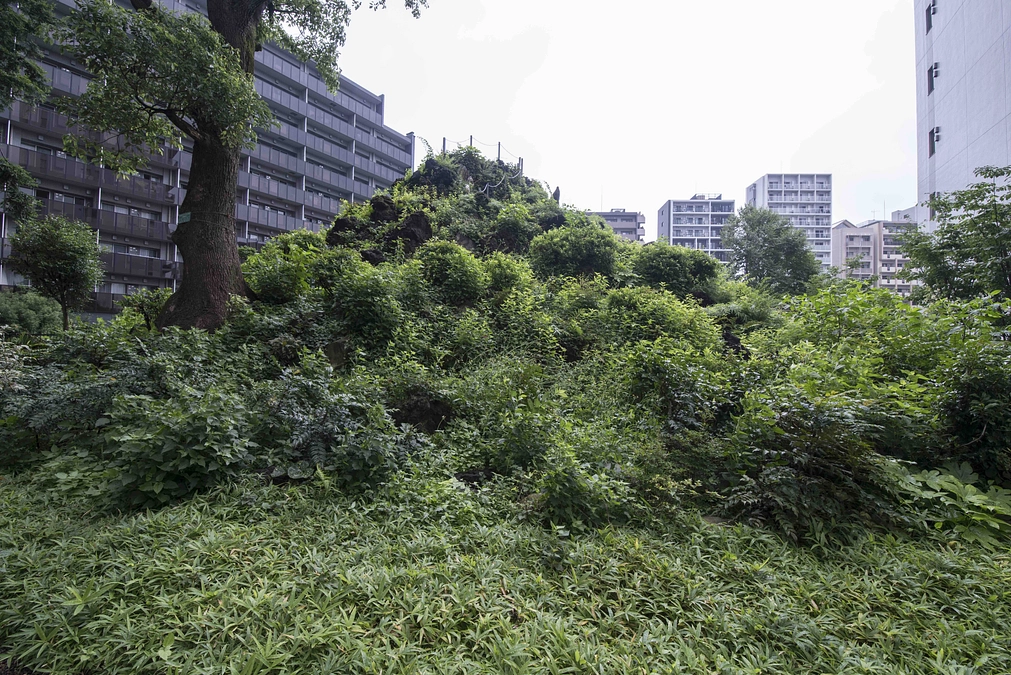 都内のおすすめ富士塚　その３（成子天神社の富士塚）