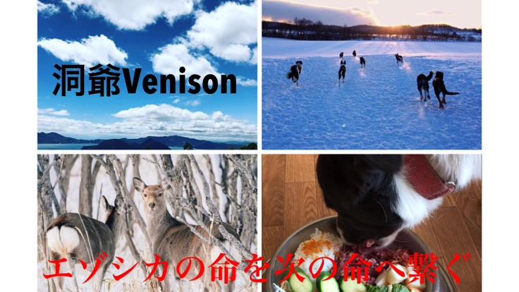 有害駆除されたエゾシカをペットフードとして有効活用したい！