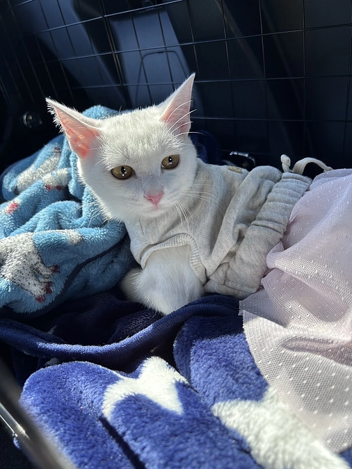 プロジェクト達成となりました