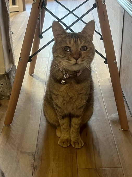 皆さまのおかげで達成する事が出来ました！