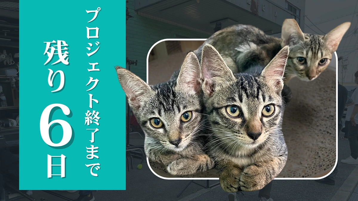 【終了まで、残り6日】少しずつ広がるご支援の輪に感謝を込めて