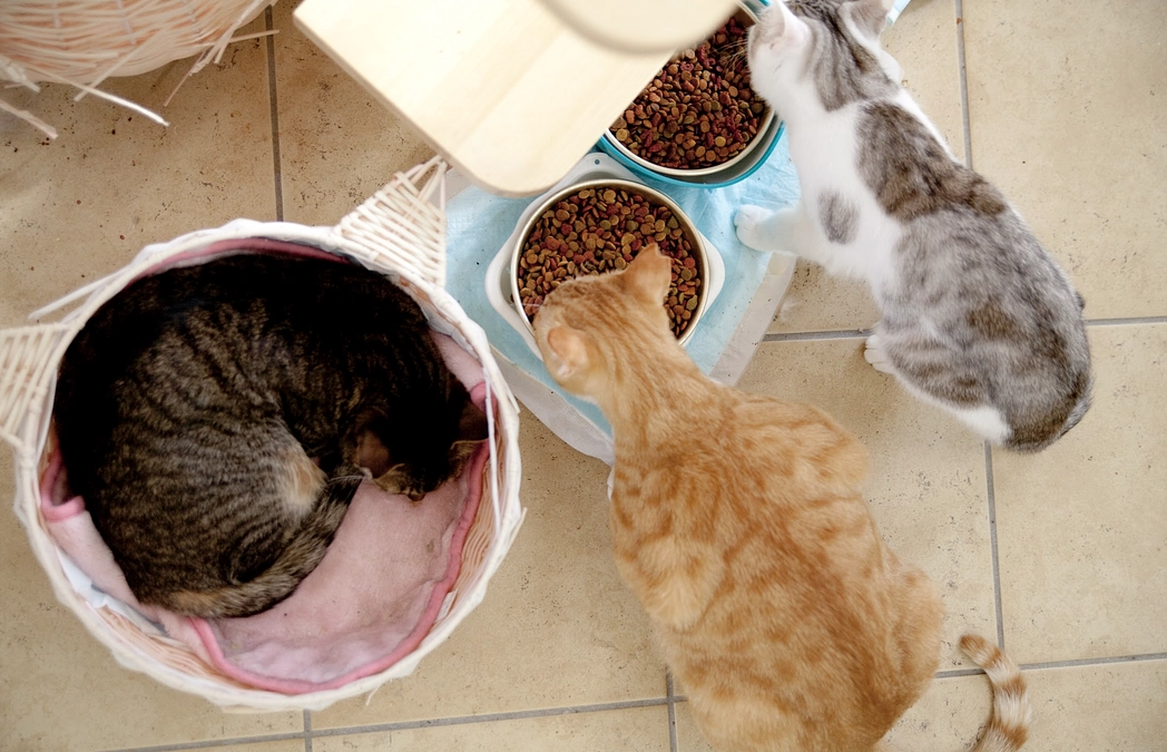 1日のお楽しみタイム