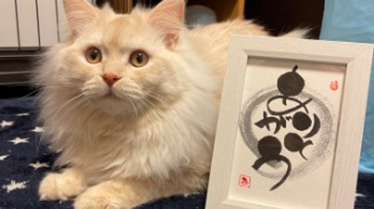 本日！目標達成いたしました😭🫶✨️