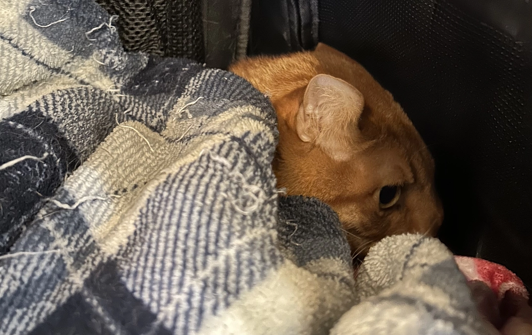 7／15 病院に行ってきました