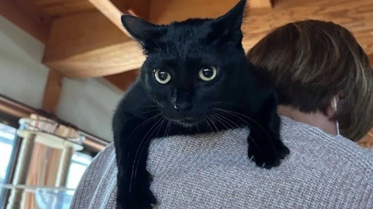 応援に励まされています！