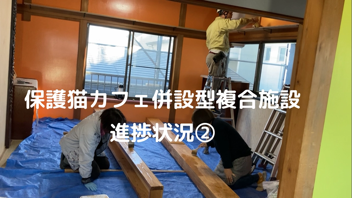 保護猫カフェ併設型複合施設進捗②