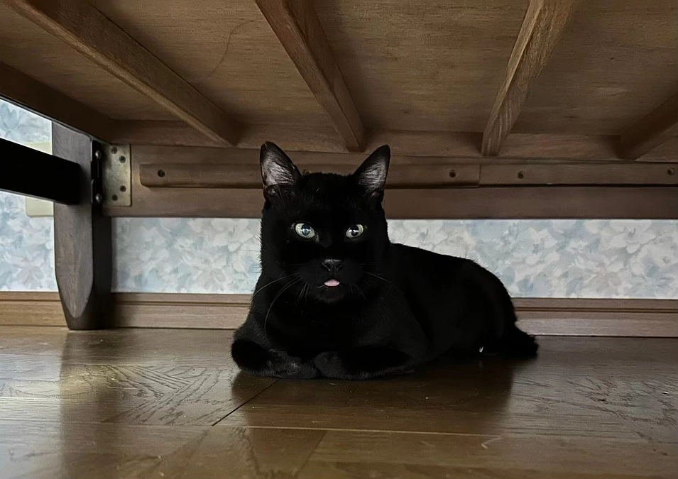 バリウム検査をすることにしました