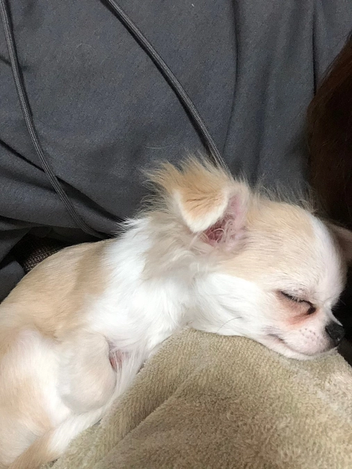 公開初日！術後の経過報告です。