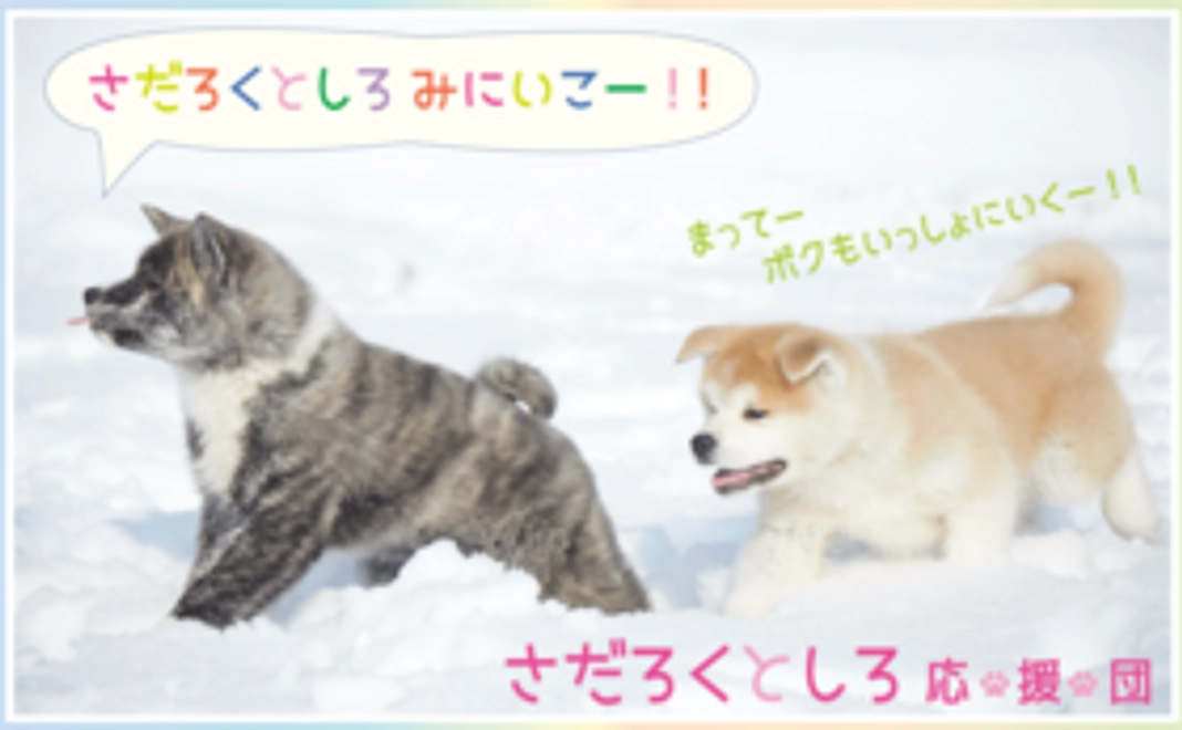 [個人向け]　未来の観劇応援プラン