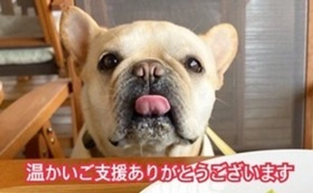 マッチョ応援コース②