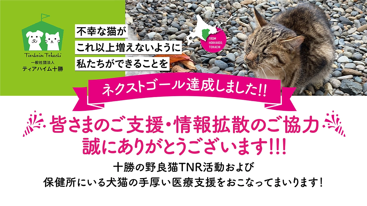 目標達成のお礼とTNRへの想い