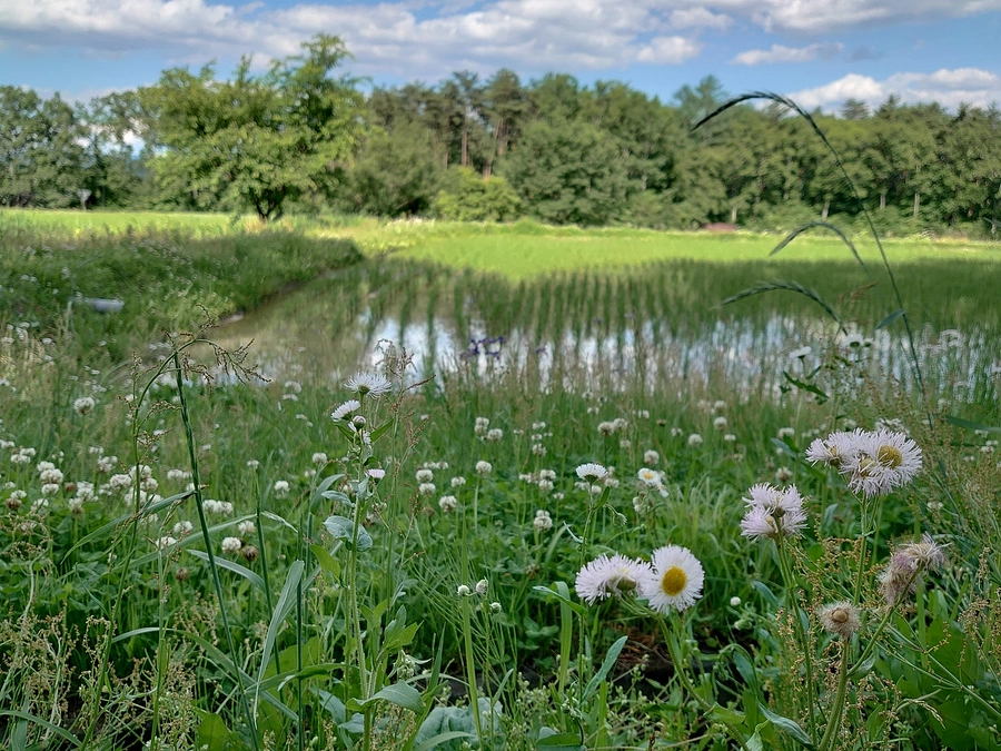 プロジェクト期間終了の御礼とご報告