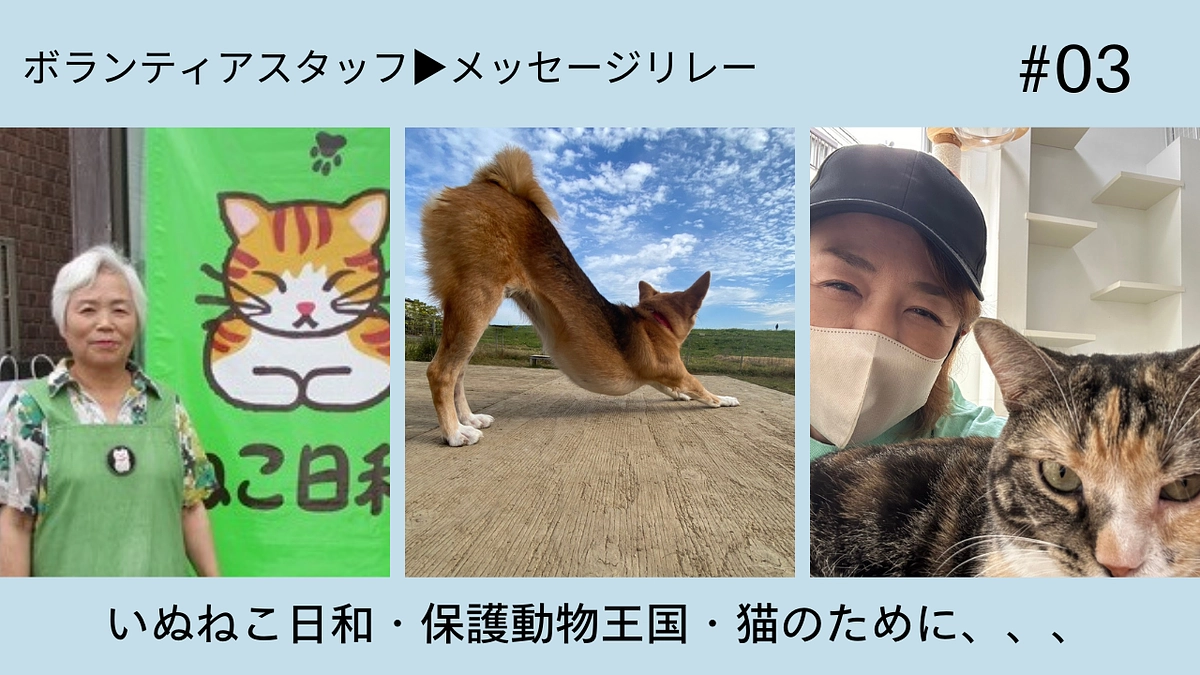 ボランティアスタッフメッセージリレー【いぬねこ日和・猫のために・保護動物王国ボランティアスタッフ】