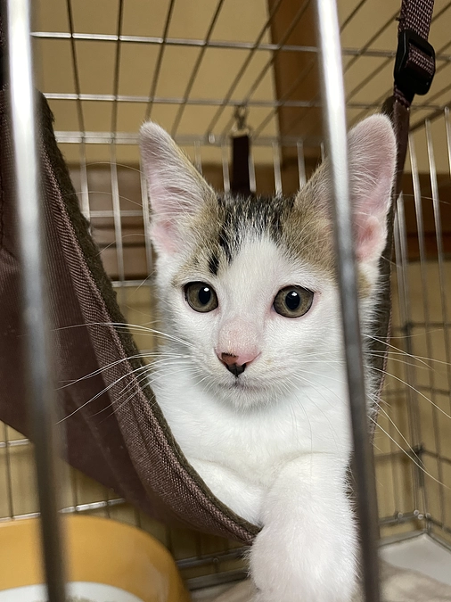 ガルくん、また次回があるさｗ