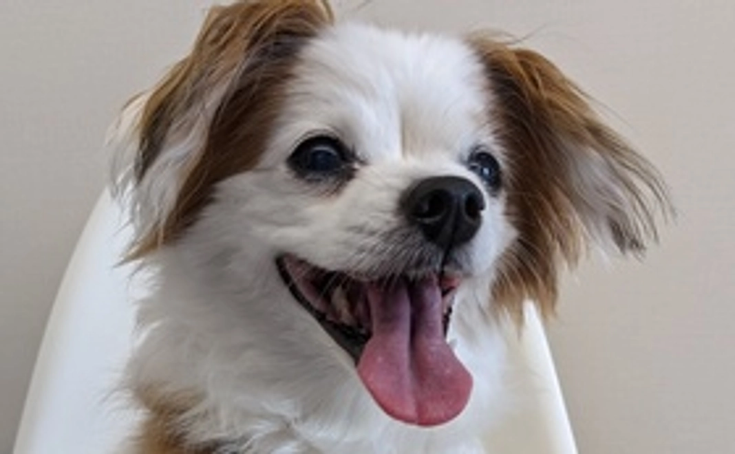 心からありがとうございます。