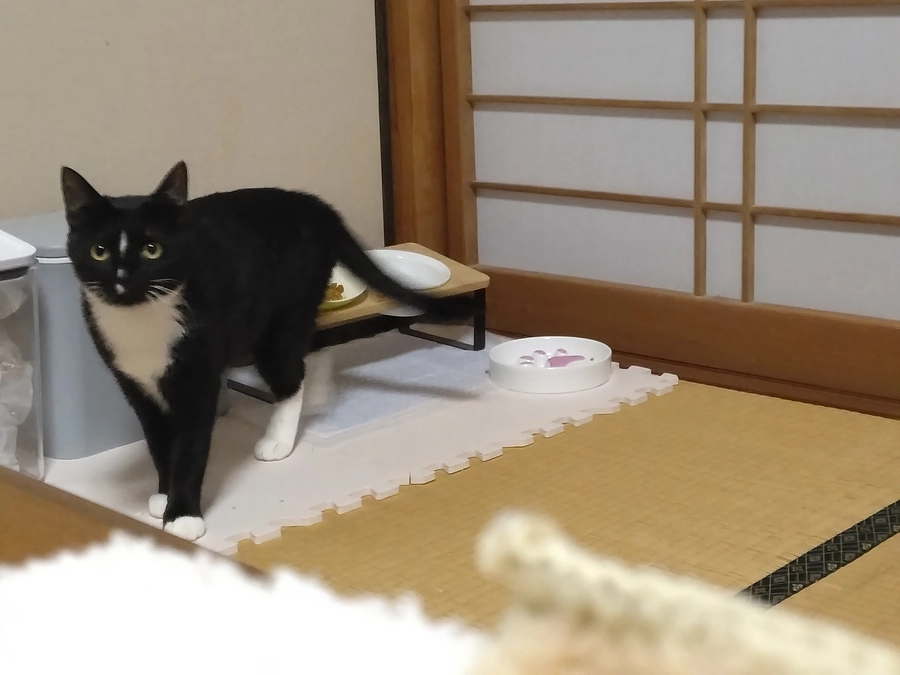 3/30はなちゃんの様子