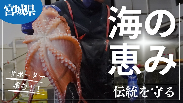 日本の食文化を守りたい！美味しい海産物を広める活動のサポーター募集