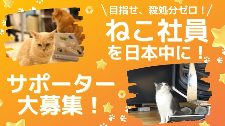 『ねこ社員』を日本中に！ねこの殺処分ゼロへ、サポーター募集中