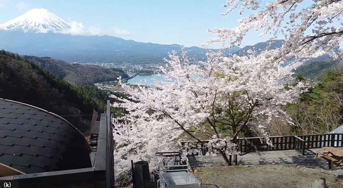 プロジェクト開始5日目、31%達成しました！