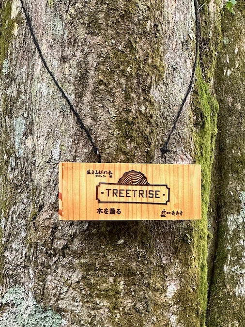 カエデの木　ネーミングライツ