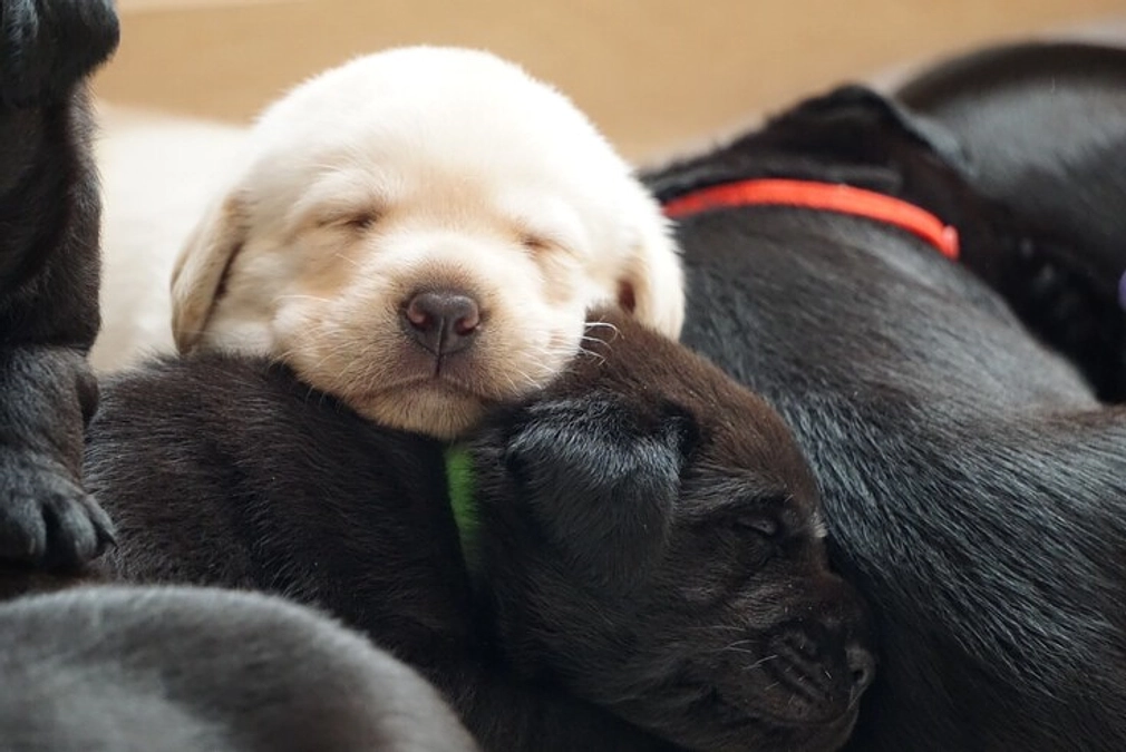 あたたかい応援メッセージのご紹介　その3